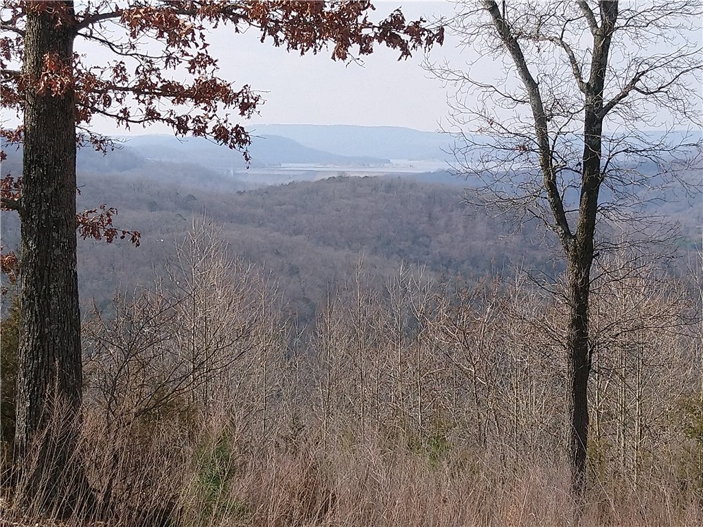 Clayborn Creek - Land