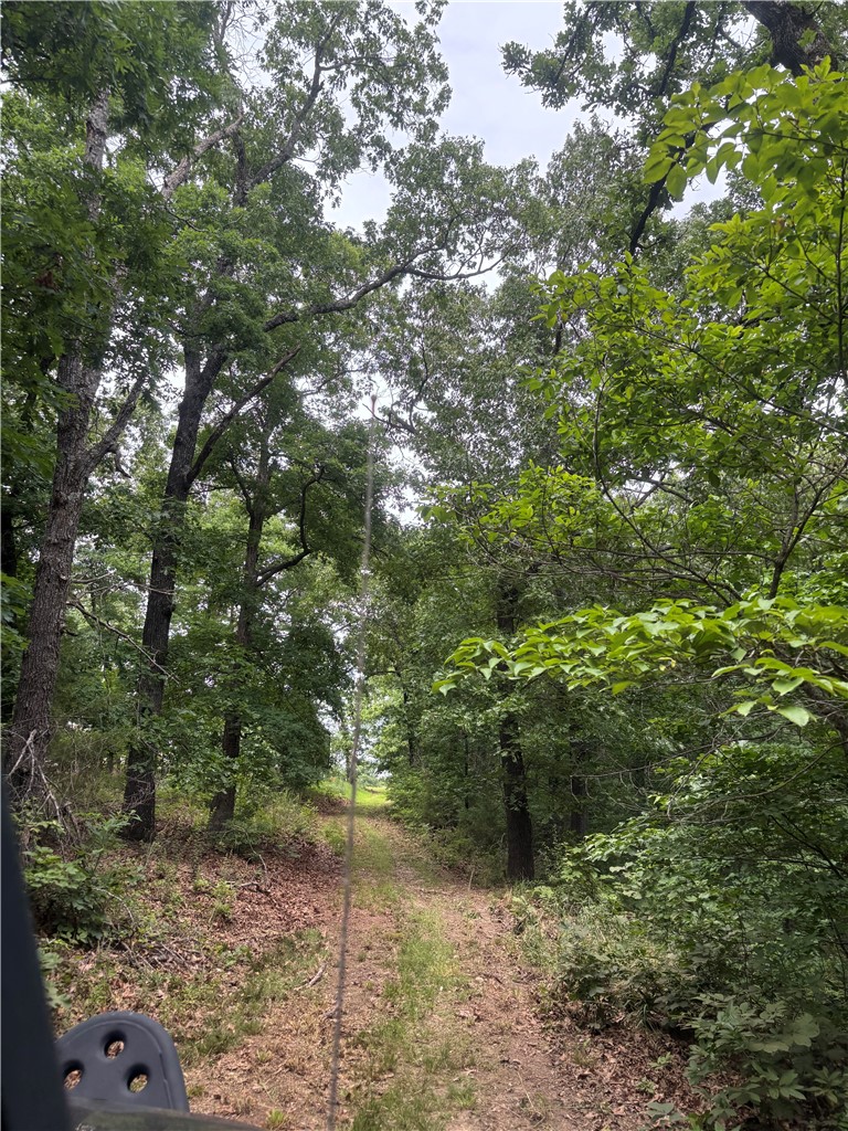 Clayborn Creek - Land