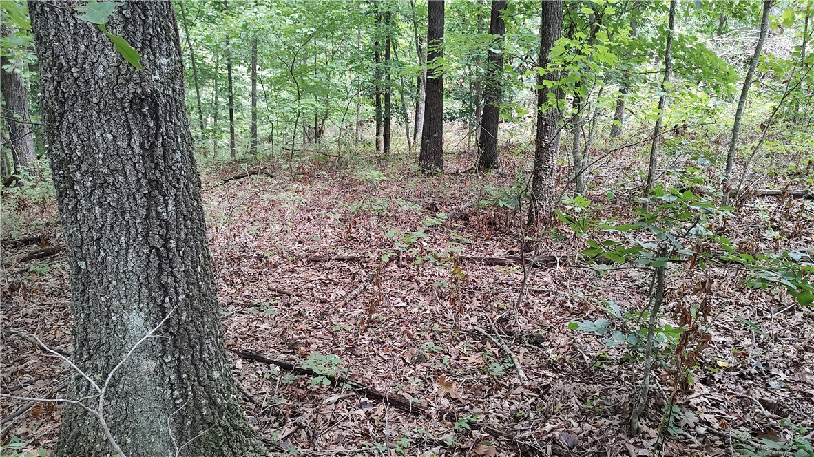 Beautiful wooded lot that is close to all the fun in Bella Vista. Build your next home on this wooded lot and be a part of the thriving community of Bella Vista. Lake Loch Lomond, Branchwood Recreation Center, Pickleball, Golf, Tennis and all the biking and walking trails! This lot would make a great investment property as well!