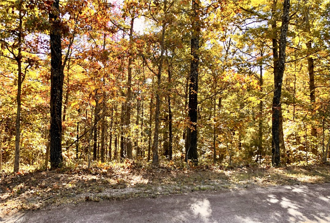 Perc test already completed on this beautiful gently sloping lot, offering a nice opportunity to build in a Bella Vista desirable setting. POA land borders two sides, creating added privacy and a peaceful natural backdrop. Outdoor enthusiasts will love the close proximity to the renowned Back 40 trail system, with a trailhead just down the street — perfect for mountain biking, hiking, and exploring the scenic Ozarks right from your doorstep. Located in the highly regarded Bentonville School District. Minutes to multiple lakes, creek, golf courses, mini golf, disc golf, recreation centers, tennis, pickleball, swimming pools, parks, Blowing Springs, Tanyard Creek and the new OZ Trails Bike Park with chairlift!