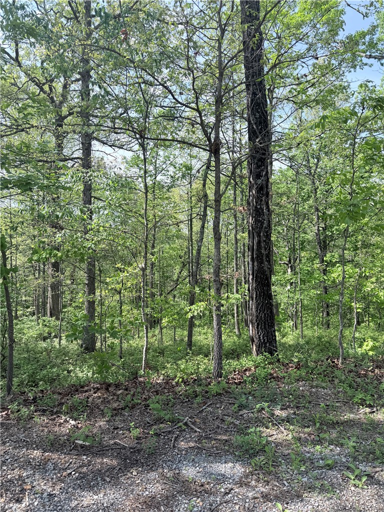 Perc test already completed on this beautiful gently sloping lot, offering a nice opportunity to build in a Bella Vista desirable setting. POA land borders two sides, creating added privacy and a peaceful natural backdrop. Outdoor enthusiasts will love the close proximity to the renowned Back 40 trail system, with a trailhead just down the street — perfect for mountain biking, hiking, and exploring the scenic Ozarks right from your doorstep. Located in the highly regarded Bentonville School District. Minutes to multiple lakes, creek, golf courses, mini golf, disc golf, recreation centers, tennis, pickleball, swimming pools, parks, Blowing Springs, Tanyard Creek and the new OZ Trails Bike Park with chairlift!