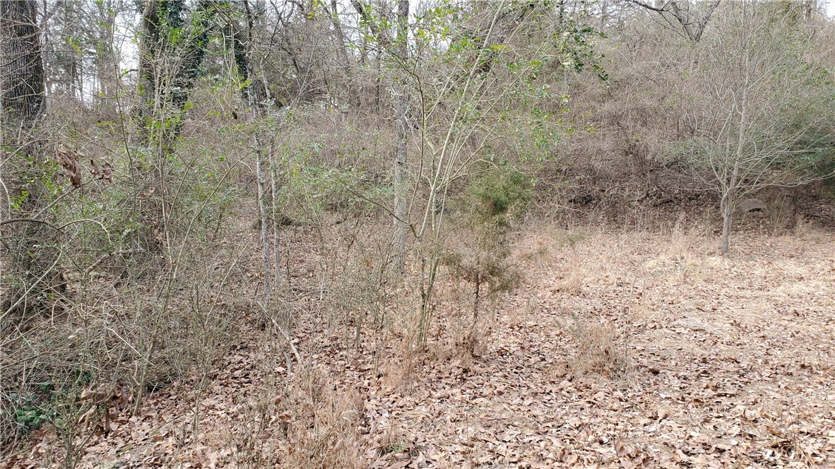 Tomlyn Valley View - Land