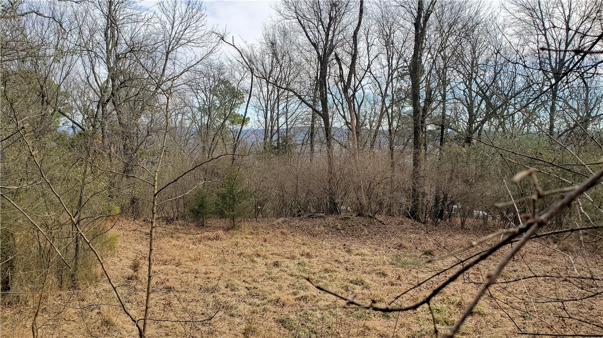 Great building lot on Mt. Sequoyah. East facing views over Tomlyn Valley. Close to downtown, trails, and all Fayetteville has to offer.