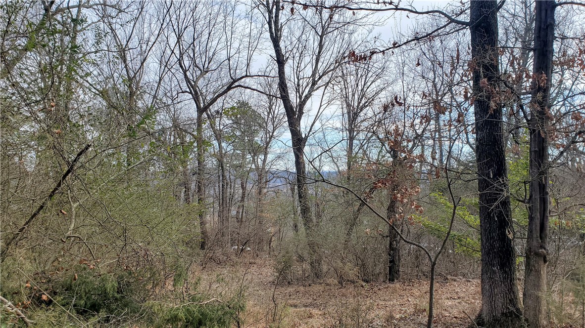Tomlyn Valley View - Land