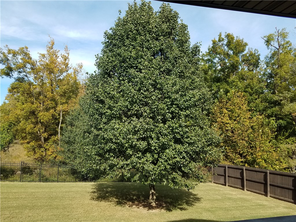 Amber Ridge At Woods Creek Bentonville - Residential