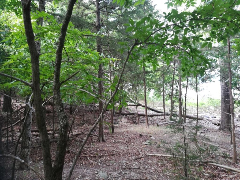 05-19-28-Rural - Land