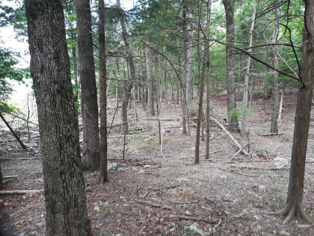 05-19-28-Rural - Land