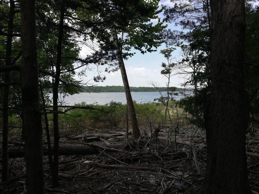 05-19-28-Rural - Land