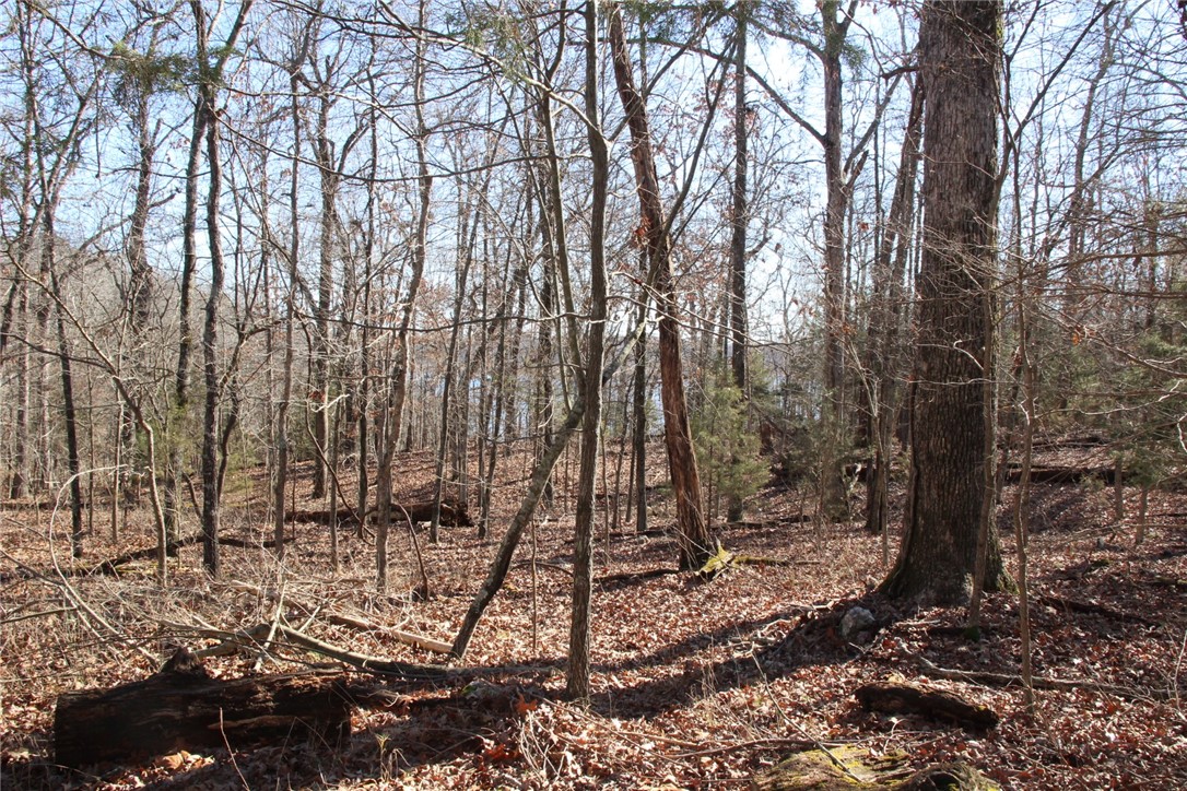 Woodstone - Land