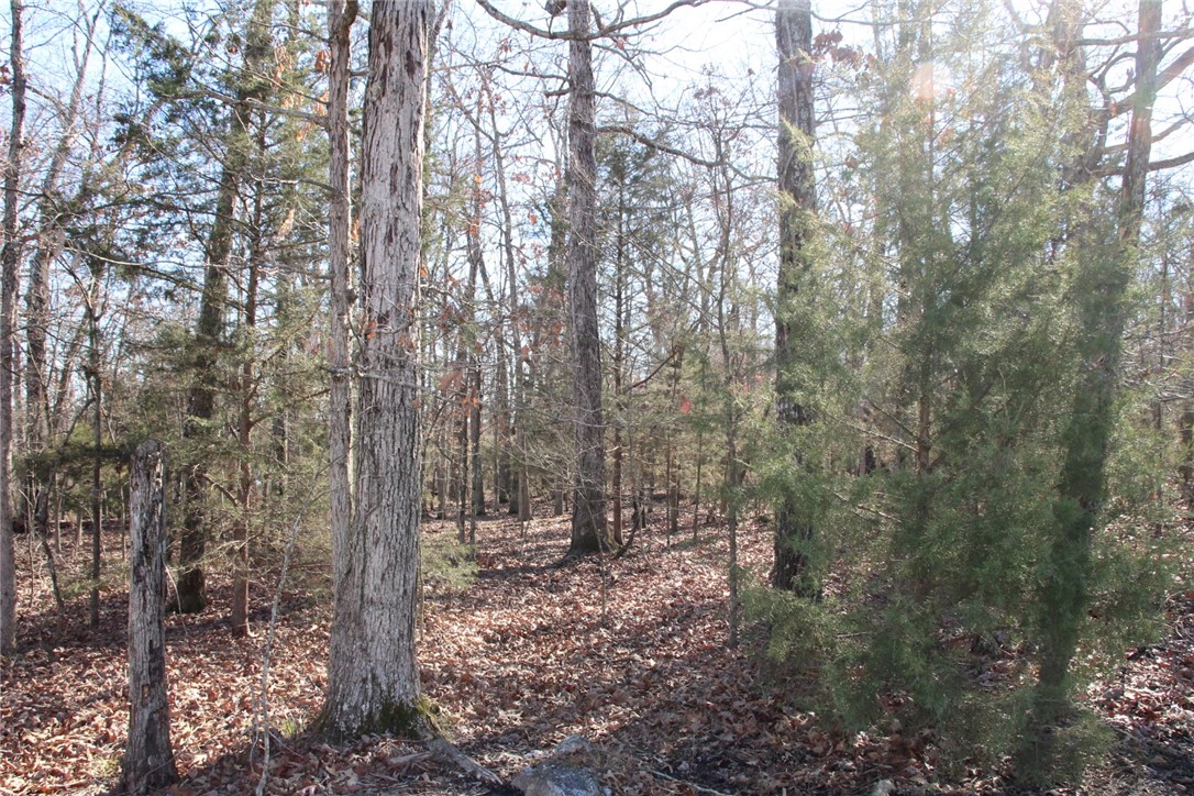 Woodstone - Land