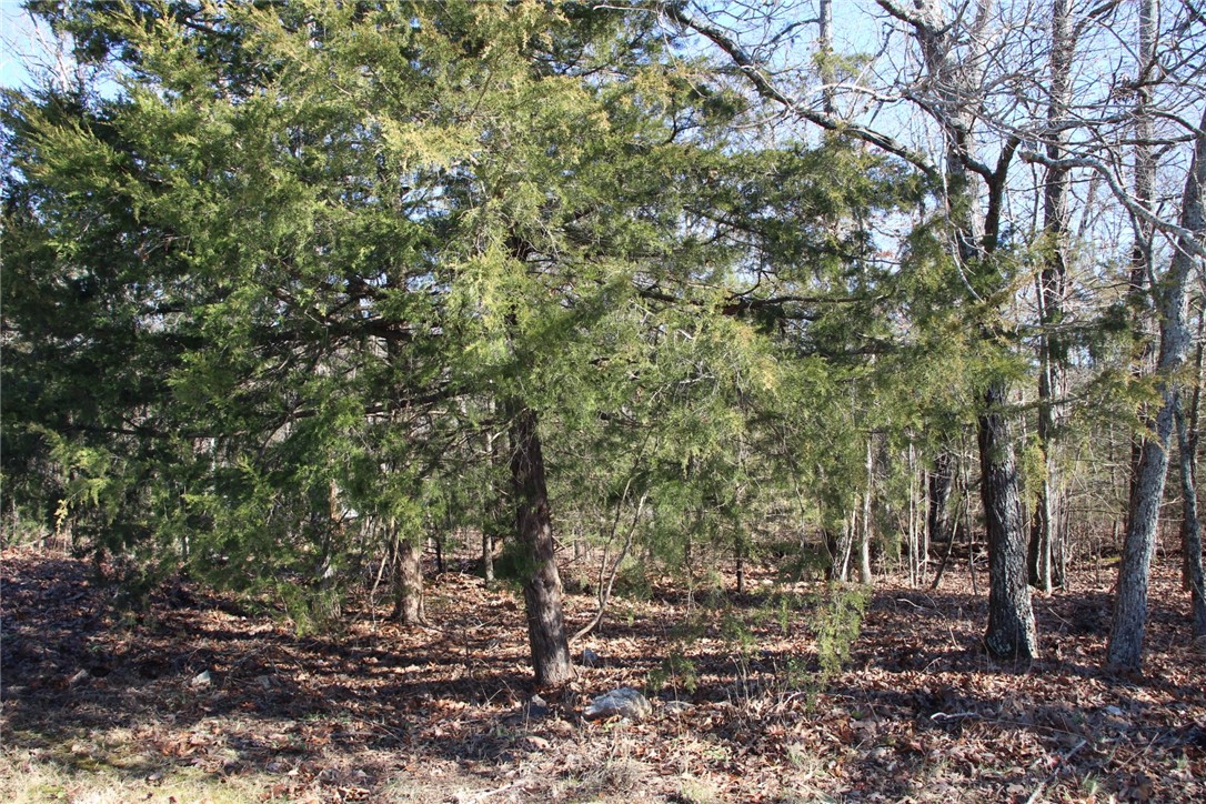Woodstone - Land