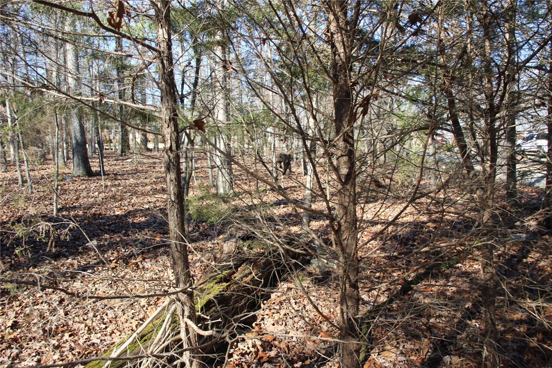 Woodstone - Land