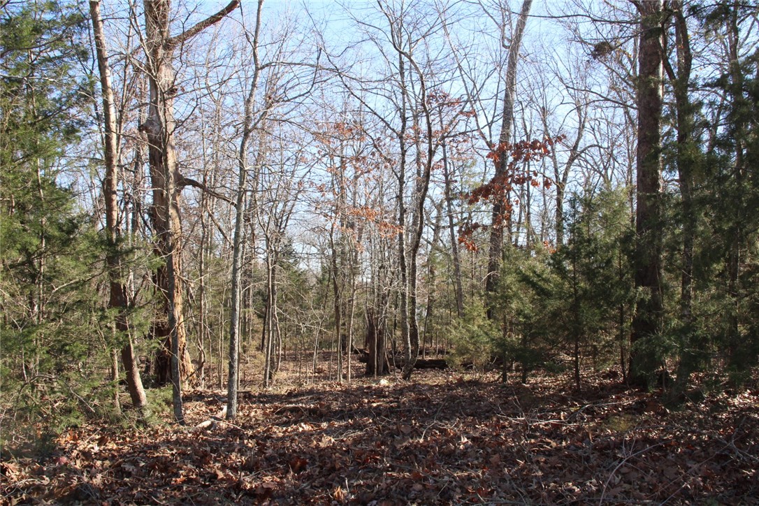 Woodstone - Land