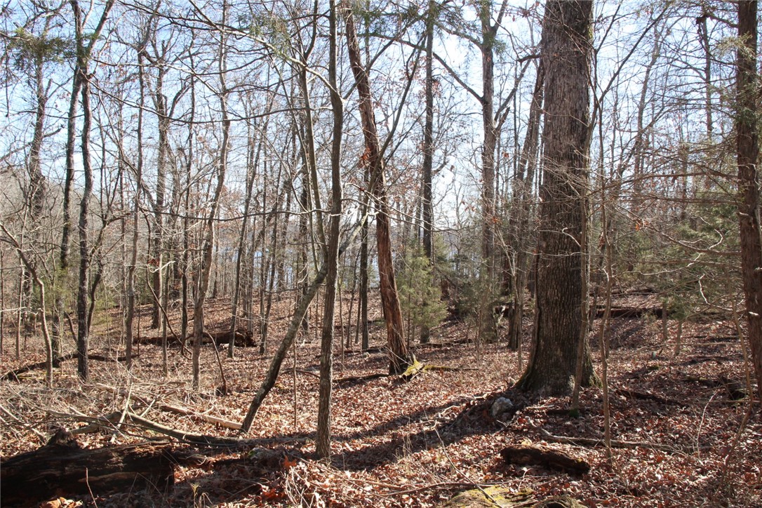 Woodstone - Land