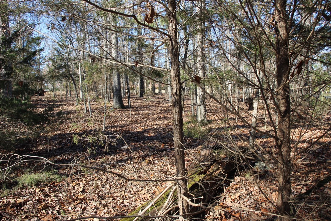 Beautiful wooded lot joining Corp line of Bull Shoals Lake.  Lot is located on paved road, cul-de-sac and has city water, sewer and a lake view from the back of the lot.  Property has a level building site for your dream home in an upscale subdivision.  Enjoy all of this and just be minutes from a public access to Bull Shoals Lake and White River.