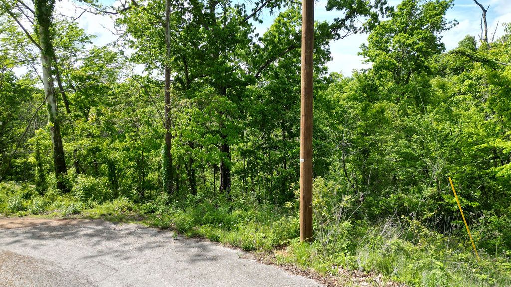 Build your Bella Vista getaway on this wooded lot located on in the desirable Highlands area of Bella Vista. This lot has a recent perc test for 3 bedrooms and offers a sloped setting with mature trees, ideal for a private home or investment build. Enjoy access to Bella Vista’s extensive amenities, including golf courses, lakes, trails, and parks, all maintained by the POA. Conveniently located near Interstate 49 for easy access to Bentonville and surrounding Northwest Arkansas. Utilities available at the street (buyer to verify). Whether you’re building now or holding for the future, this is a great opportunity to own land in a high-demand area with strong growth.