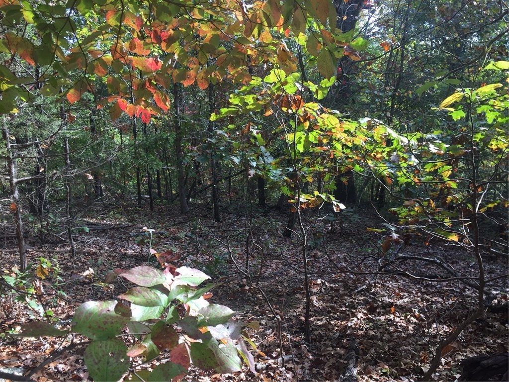 Lake Ann Subdivision. Lake Ann Boat Park/Ramp located around corner. Located close to trail system, ("back 40")-East Side. Bentonville School District. Close location to shopping, restaurants, medical facility. Level to slope, wooded view. Lot#29 is owned by same lot owner-purchase side/side.
