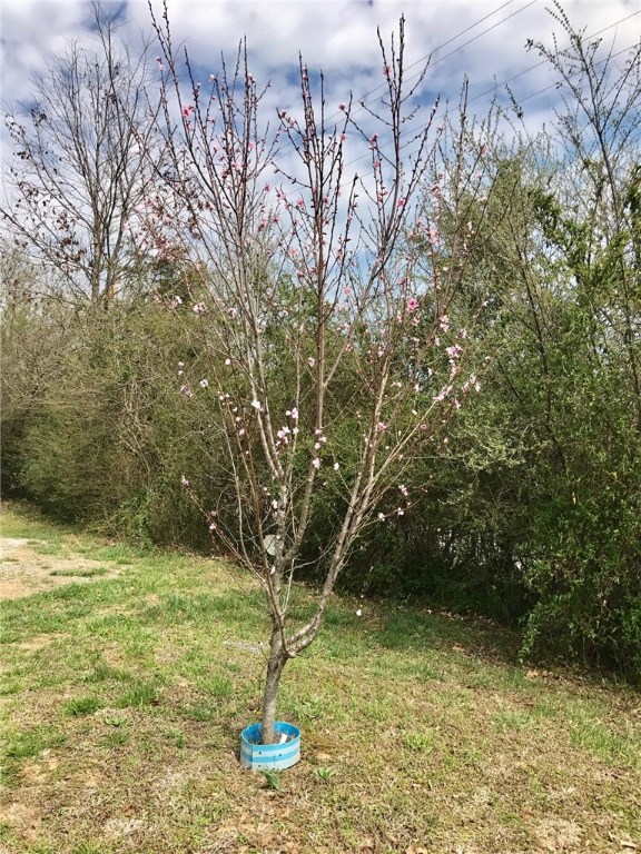 13-15-29 - Residential