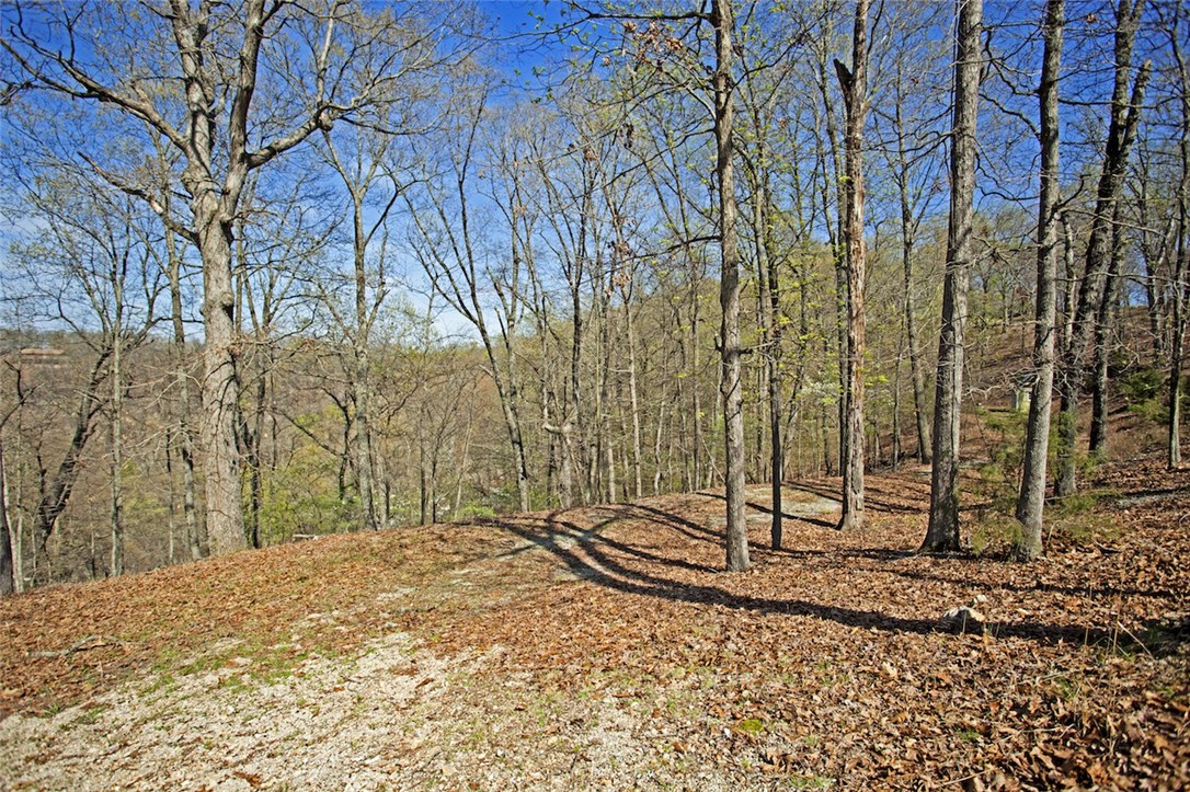 The Bluffs At Jackson Cove - Land