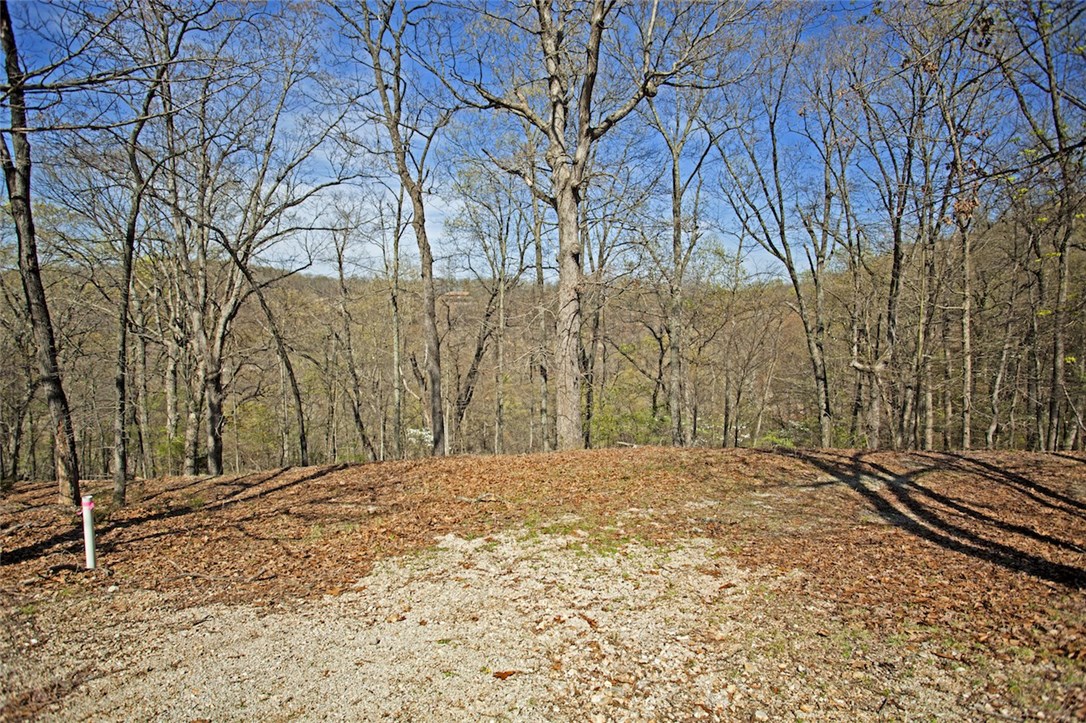 The Bluffs At Jackson Cove - Land
