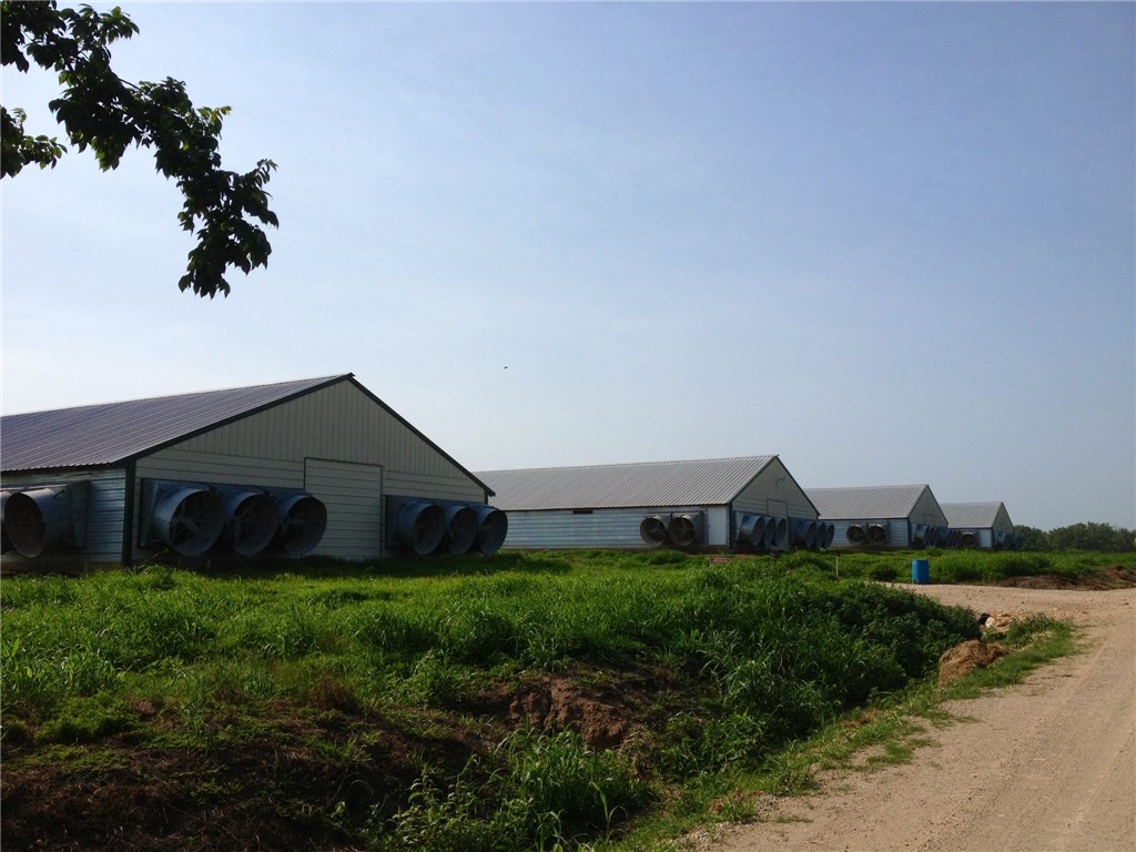 Neat and clean farm for a great price! Tyson contract for 53 day bird and top pay in the area for a gross annual income over $300,000. 86 acres are mostly level and open for good pasture. Pond in northwest corner has water year-round. Hay barn still has useful life remaining. This is a top pick if you are looking to get into the contract chicken business as an owner/operator and you have about $175,000 for down.