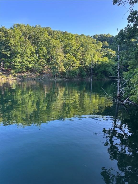 Want your little piece of Paradise on Beaver Lake? Over 1000 feet of Corp Line.  Wet weather creek and spring, cave or  bluff shelter,  and drive down access on this 5.777 acre lakefront property.  Has Rural water to property corner, that saves you Thousands of Dollars in drilling a well.   Developed, your best building site will look right down the Cove to the main channel. Use LandGlide.com app to explore this property by land or by lake. Not many of these Gems out there so don't miss your chance.