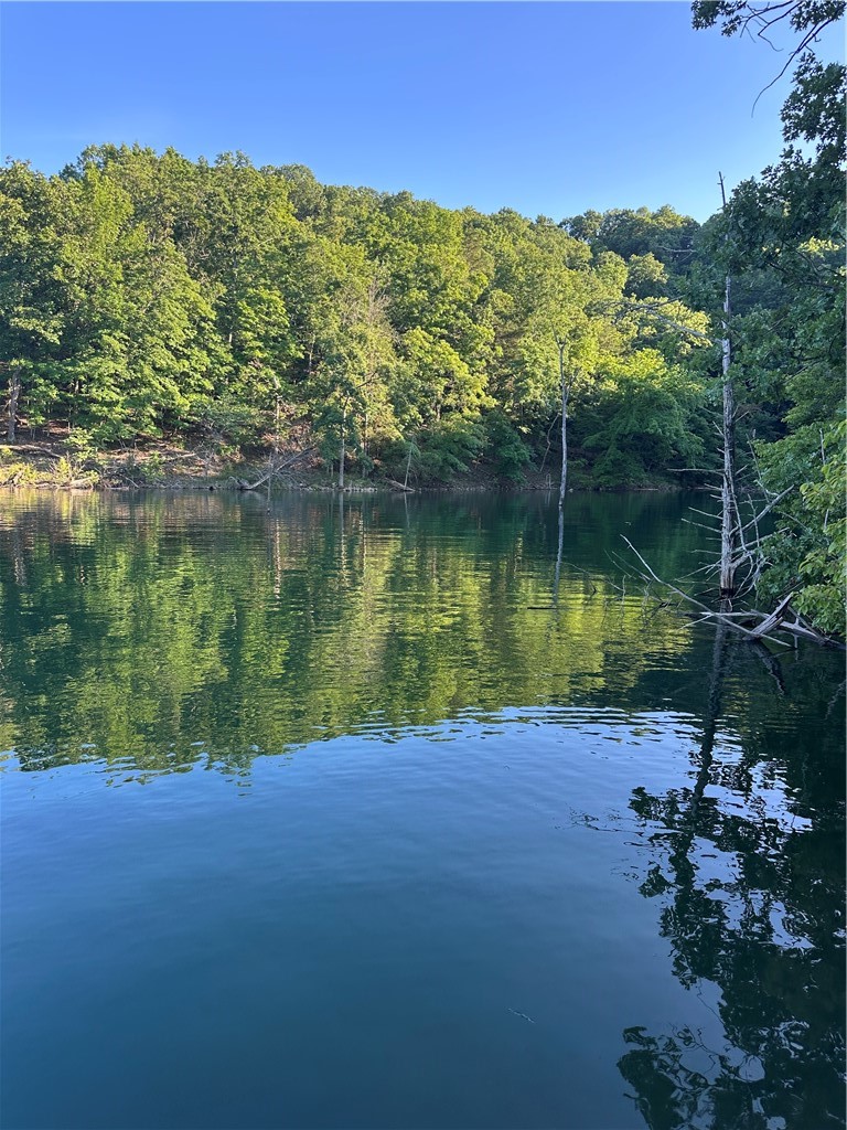Want your little piece of Paradise on Beaver Lake? Over 1000 feet of Corp Line.  Wet weather creek and spring, cave or  bluff shelter,  and drive down access on this 5.777 acre lakefront property.  Has Rural water to property corner, that saves you Thousands of Dollars in drilling a well.   Developed, your best building site will look right down the Cove to the main channel. Use LandGlide.com app to explore this property by land or by lake. Not many of these Gems out there so don't miss your chance.