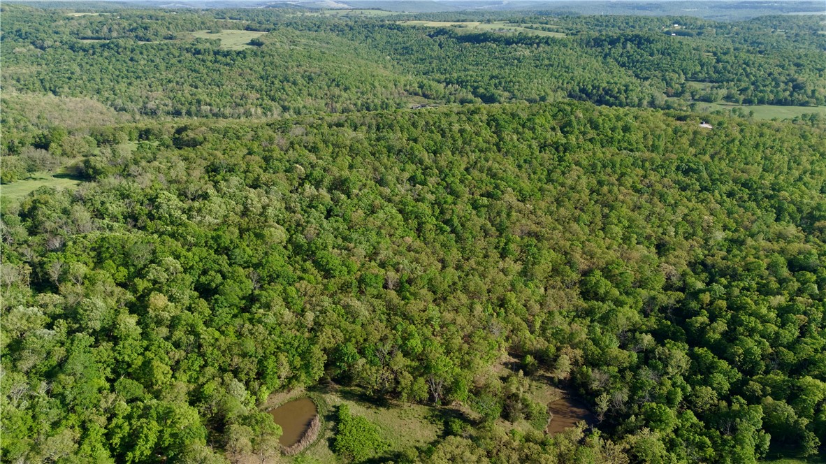 37 +/- acres in Madison County with a strong combination of location, usability, and natural features. Property is being split from a larger tract with seller-provided ingress/egress and utility easements. Utilities available along County Road 7670, including electric, rural water, and fiber internet options. Land features gently sloped terrain with multiple benches and a large, usable flat on the east side suitable for a homesite or food plots. A pond and wet weather creek add recreational and wildlife value. Excellent hunting potential with deer, turkey, and occasional black bear. Timber consists primarily of white oak with some red oak and hickory. Much of the timber is marketable. Conveniently located just north of Wesley and south of Hwy 45 and US-412, within 30 minutes of Fayetteville and Huntsville. Showing is by appointment only.
