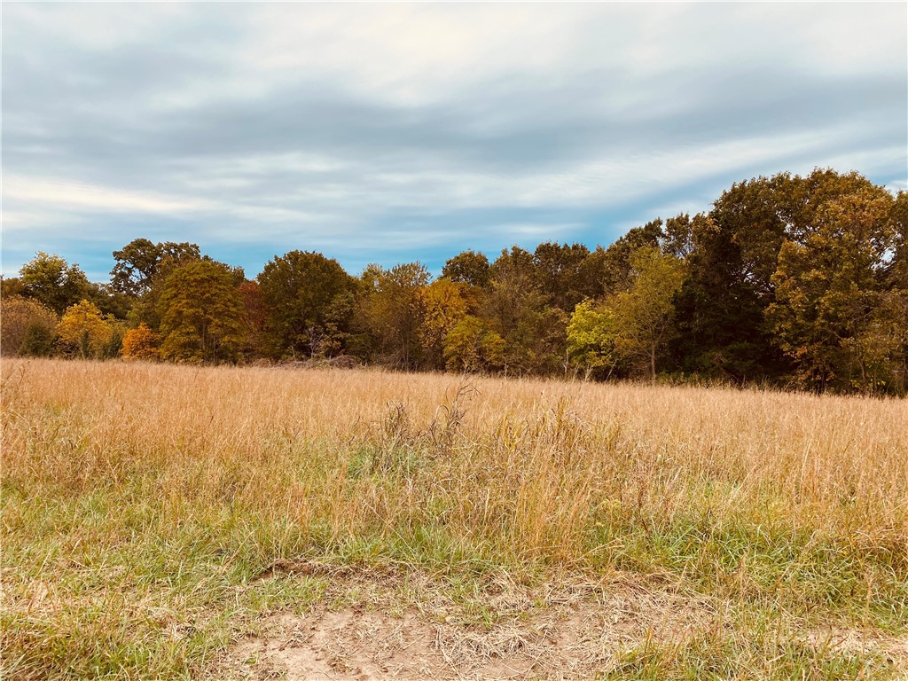 Hidden Forest Subdivision - Land