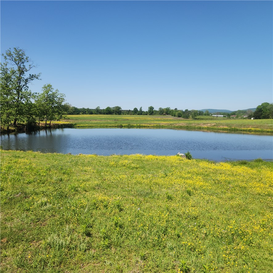 What a Beautiful place to call your own! Set up with everything you need for a cattle operation, and take advantage of everything that is in place to turn it into the stock operation you've been dreaming of.  Fenced and cross-fenced, a great older wooden barn with headgate, and stock pen, , Multiple outbuildings including a shop and a tractor barn, and sheds, good ponds and a dependable spring that's never run dry,  and great grass that will ensure your livestock thrives! Nice ranch style home with 3 beds, 2 baths, newer double vinyl windows and a large covered deck to sit out and enjoy the peach and quiet of this idyllic spot! Everything is set up and ready, all that's needed is you and your family, and whatever kind of stock you want to bring to set up your own Ozark Mountains Farm! Beautiful views in every direction, peace and quiet all around, these kind of properties are few and far between. Call today to set up your private showing.