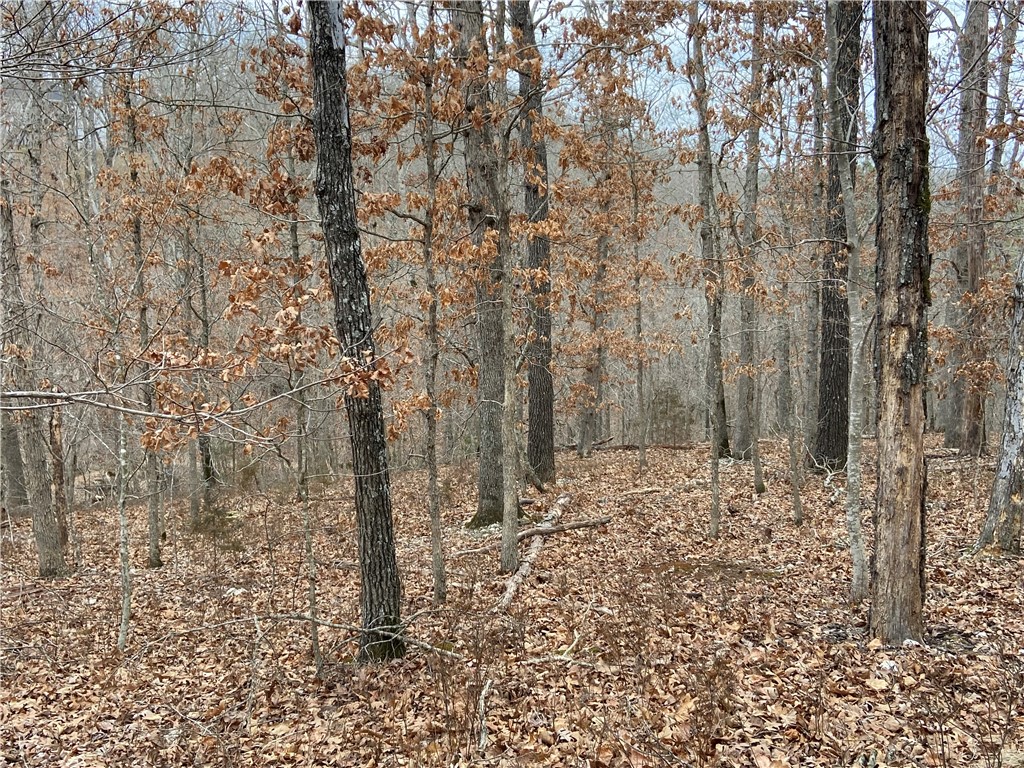 Buildable, Perced, Surveyed and Septic Designed lot on the Summit School Trail surrounded by Lake Ann, Lake Brittany and the Back 40 Loop! Buckingham/Back 40 Loop Trailhead less than 1.5 miles aways!  Beautifully Developed street with New Construction (less than 12 months) in established and coveted neighborhood. Perfect location for enjoying the Ozarks in the Mountain Bike Capital of the World! Trail access from back of lot is easily achieved, making this lot a true Bike In/Bike Out! Countless exciting features coming to the Mountain Bike Trails of Bella Vista, making it the Crown Jewel of Resort & Recreation Living in NWA.  Get a head start on your dream home or income-generating STR with this exciting lot!