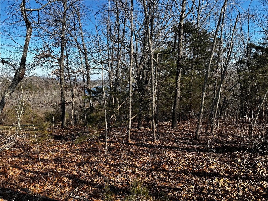 ISLAND VIEW ESTATES-RURBAN - Land