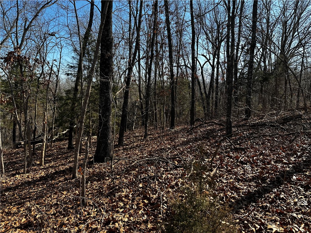 ISLAND VIEW ESTATES-RURBAN - Land