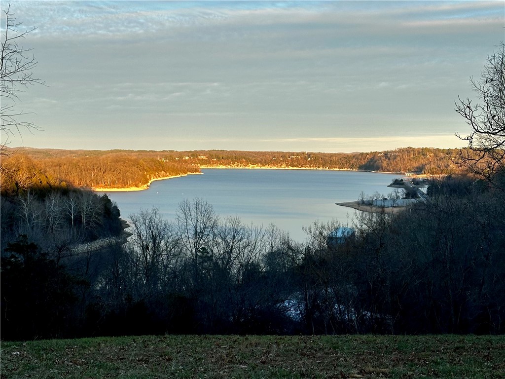 Don't miss your opportunity to build on one of the last bluff views overlooking Beaver Lake near the bridge !  Just 10 minutes from downtown Rogers and 3 minutes to Hwy. 12 boat ramp and beach, this 2.21 acres in a secluded cul-de-sac needs a new owner to enjoy the view. A small part of the north end of the lot has been cleared to demonstrate the potential of this property. Property goes all of the way down so more tree trimming would create an extraordinary perspective.  Electricity and water at street, septic would be required. Property is directly across from 8263 Anchor Dr.   It is advisable to access property from Beaver Shores Drive or Linville Road and not directly from Hwy. 12 like GPS suggests.