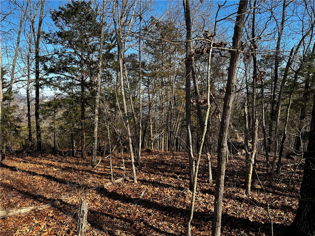 ISLAND VIEW ESTATES-RURBAN - Land