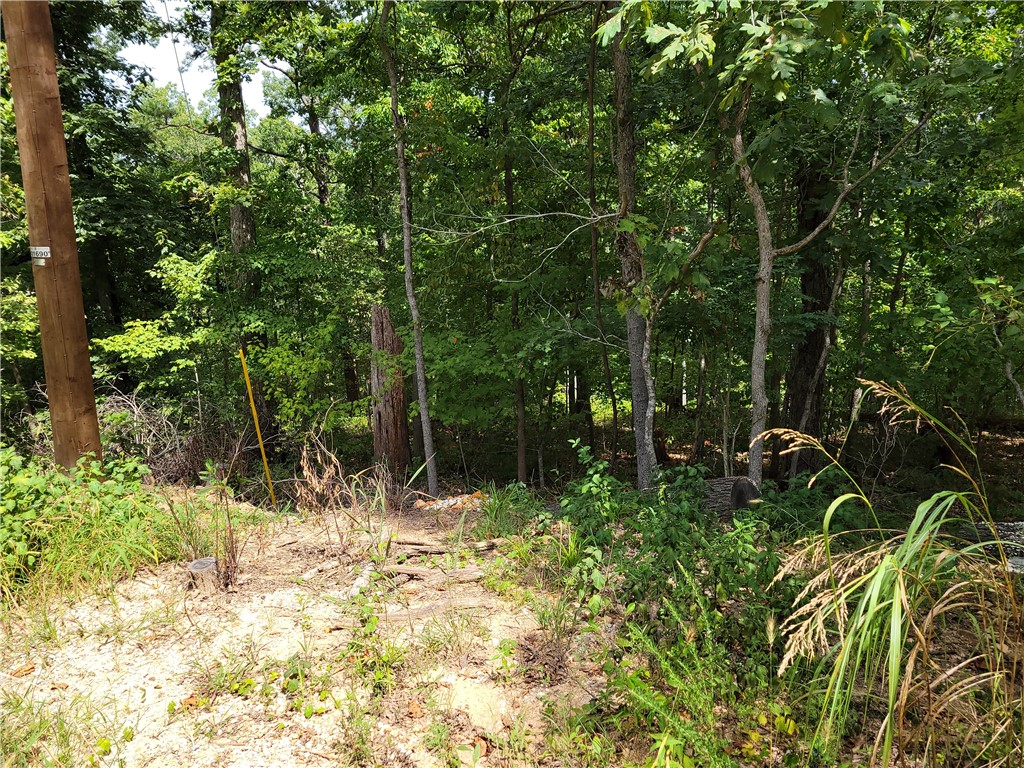 This large lot (.37 ac) has access to SEWER and is located on a cul-de-sac!!!  Located only about 1/2 mile from The Back 40 MBT and a short drive to the main highway (Hwy 71), you can be in Bentonville or Missouri in just a few minutes.  Go check out this lot to see if this is where you would want your new home to be built.  Bentonville schools.