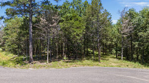 Other Subdivision - Land