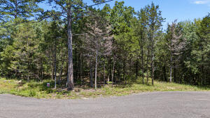 Other Subdivision - Land