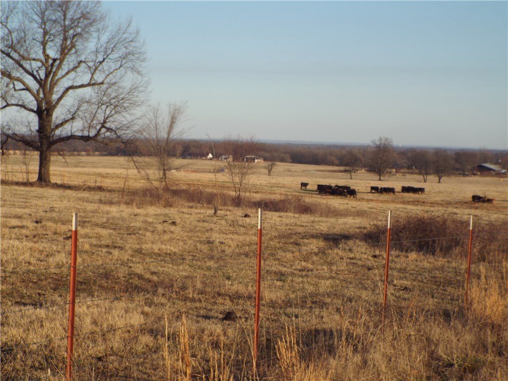 rural - Farm
