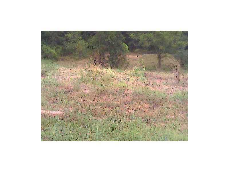 Spring Ridge Subspringdale - Land