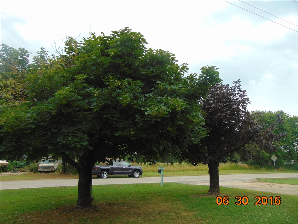 Oak Grove Outlots - Residential