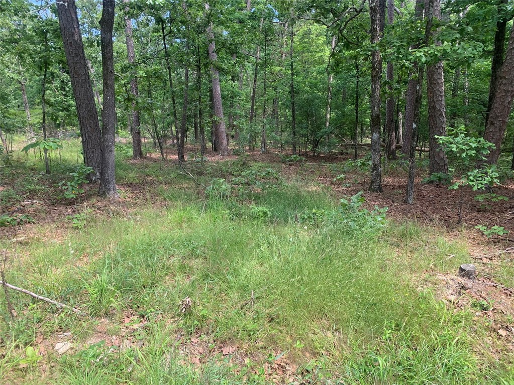 It's time to make the village your home.  Check out this beautiful building lot and imagine your new home just setting there waiting for you to move in.  Choose your style and layout now and begin construction on your dream home.  Play golf anytime you want.  Take advantage of the paved walking trails and bicycle trails throughout the village.  Ride your golf cart thru the woods to the golf course.  Enjoy the club swimming pool and all of the enjoyable restaurants in the village.  You've been thinking about it and now is the time to take action.  Call today for more details and you own personal tour.