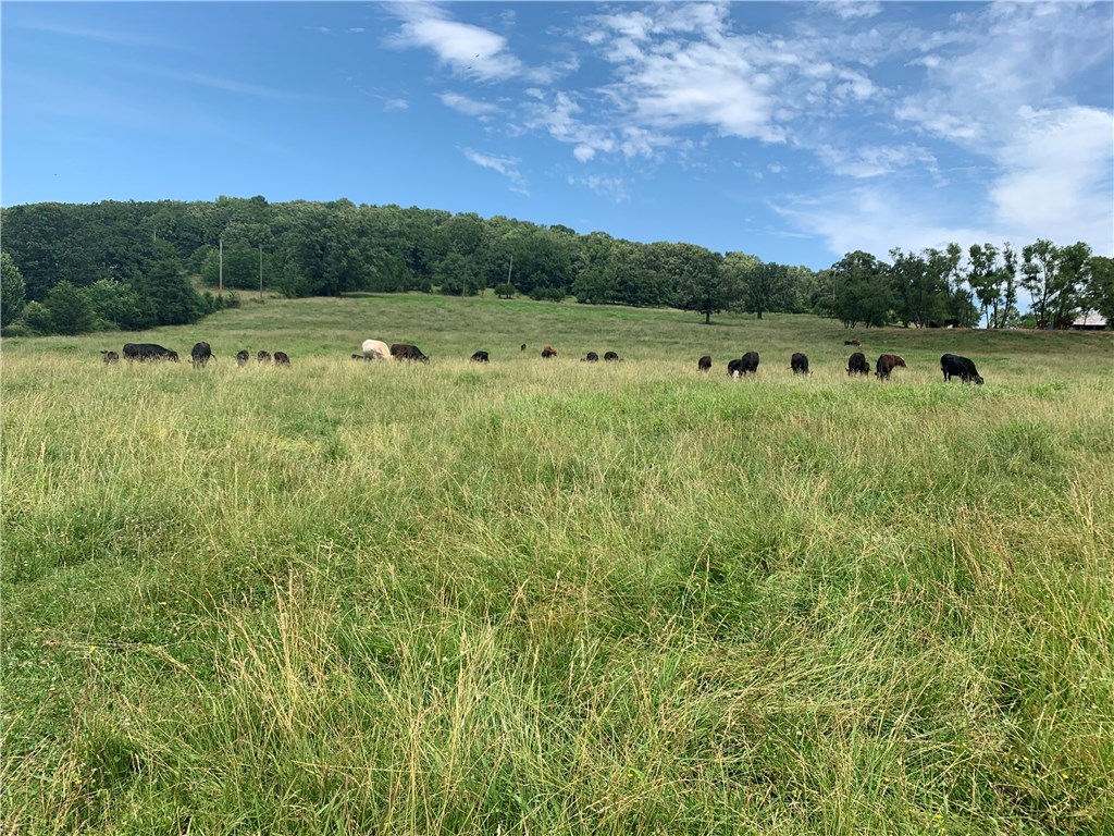 Great spot for your dream home! 5.57+/- acres in Prairie Grove School District! Open pasture with great access to Prairie Grove, Prairie Grove bypass and Lincoln.  Just a stones throw to Bob Kidd Lake! Paved Road. Water, electric and natural gas at road. Property has been perc’d.