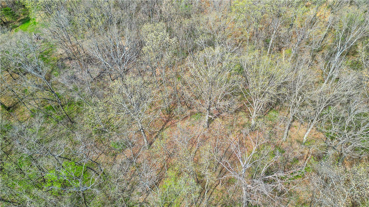 Posy Mountain Ranch Unit 4 Rurban - Land