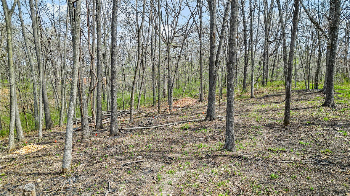 Posy Mountain Ranch Unit 4 Rurban - Land