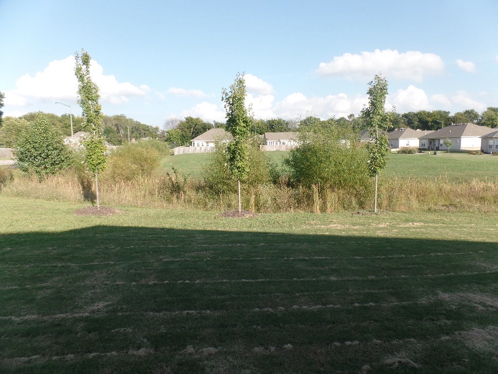 Walnut Woods #2 Ph III Siloam Spgs - Residential