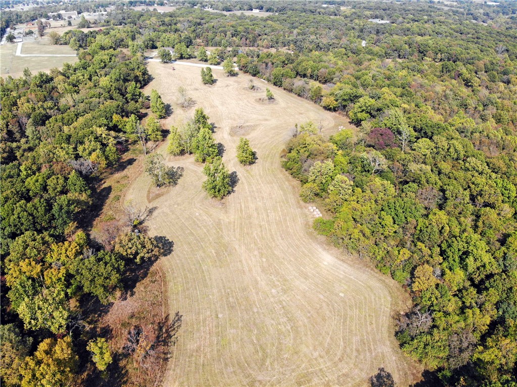 Take a look at this gorgeous 47 acres! Perfect for building your dream home and have enough room for horses, cattle and other livestock! Deer galore! Hunters paradise. The gorgeous views are every direction you look! Pond and live spring on property. About half open and the rest is thick woods and brush which makes it nice and secluded. Private but minutes away from shopping, schools, and hospital.