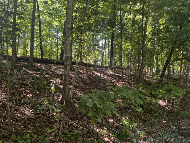 .37-acre buildable Bella Vista lot with major due diligence already completed. Recent survey and septic feasibility work support a proposed 4-bedroom home footprint — a huge advantage in Bella Vista where buildability and septic planning can significantly impact cost, timeline, and confidence.

Located less than half a mile from the Lake Ann boat ramp and close to Bella Vista’s renowned trail system, this wooded lot offers the perfect balance of recreation, privacy, and convenience. Enjoy quick access to lakes, biking and hiking trails, golf, and all Bella Vista POA amenities, with an easy drive to Bentonville and I-49.

A rare opportunity to purchase a lot that already has key feasibility work in place instead of starting from scratch!