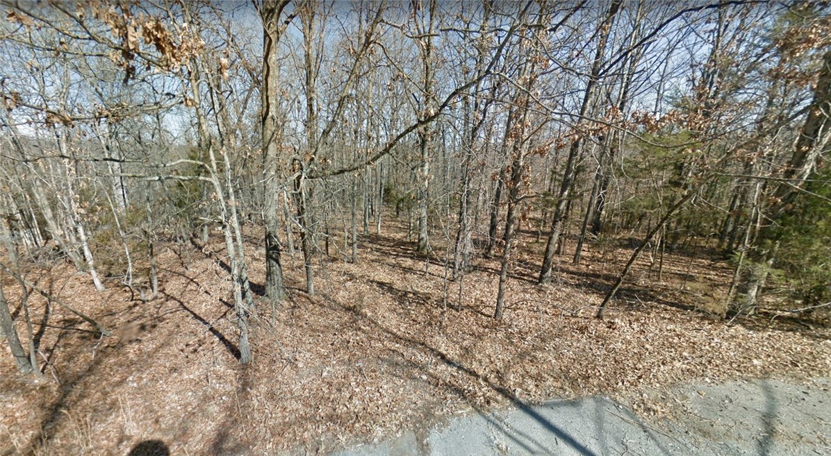 Beautiful cul-de-sac lot with gently sloping terrain full of nature and with some serene views behind.  No houses to either side as of yet.  Close to new Missouri and 49 access road.