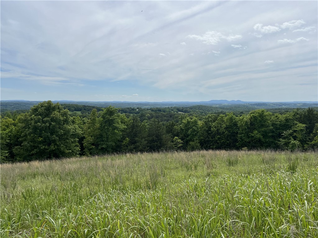Amazing VIEW for over 17 measured miles!!  "WOW" does not do it justices.  This is a must see property with 6.88 surveyed acres, only 2/10ths of a mile of gravel road, and electric at the neighbors house.  Come check it out today.